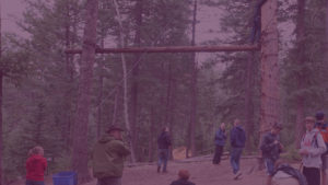 Scale trees and walk along the catwalks.